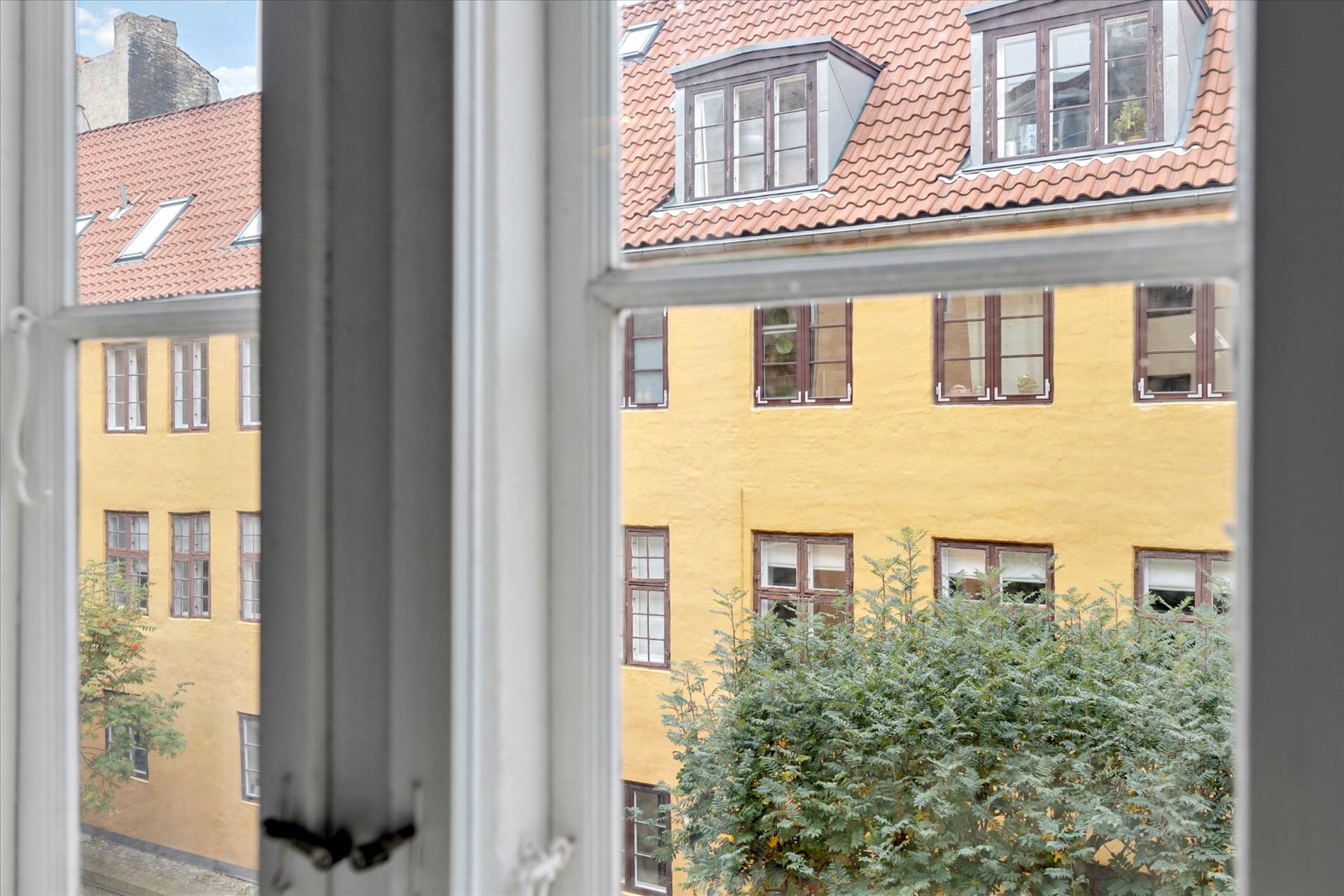 Lavendelstræde — Billeder 4